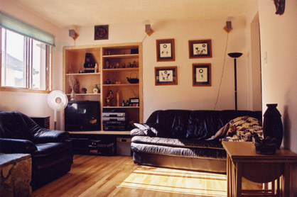 The new shelves.